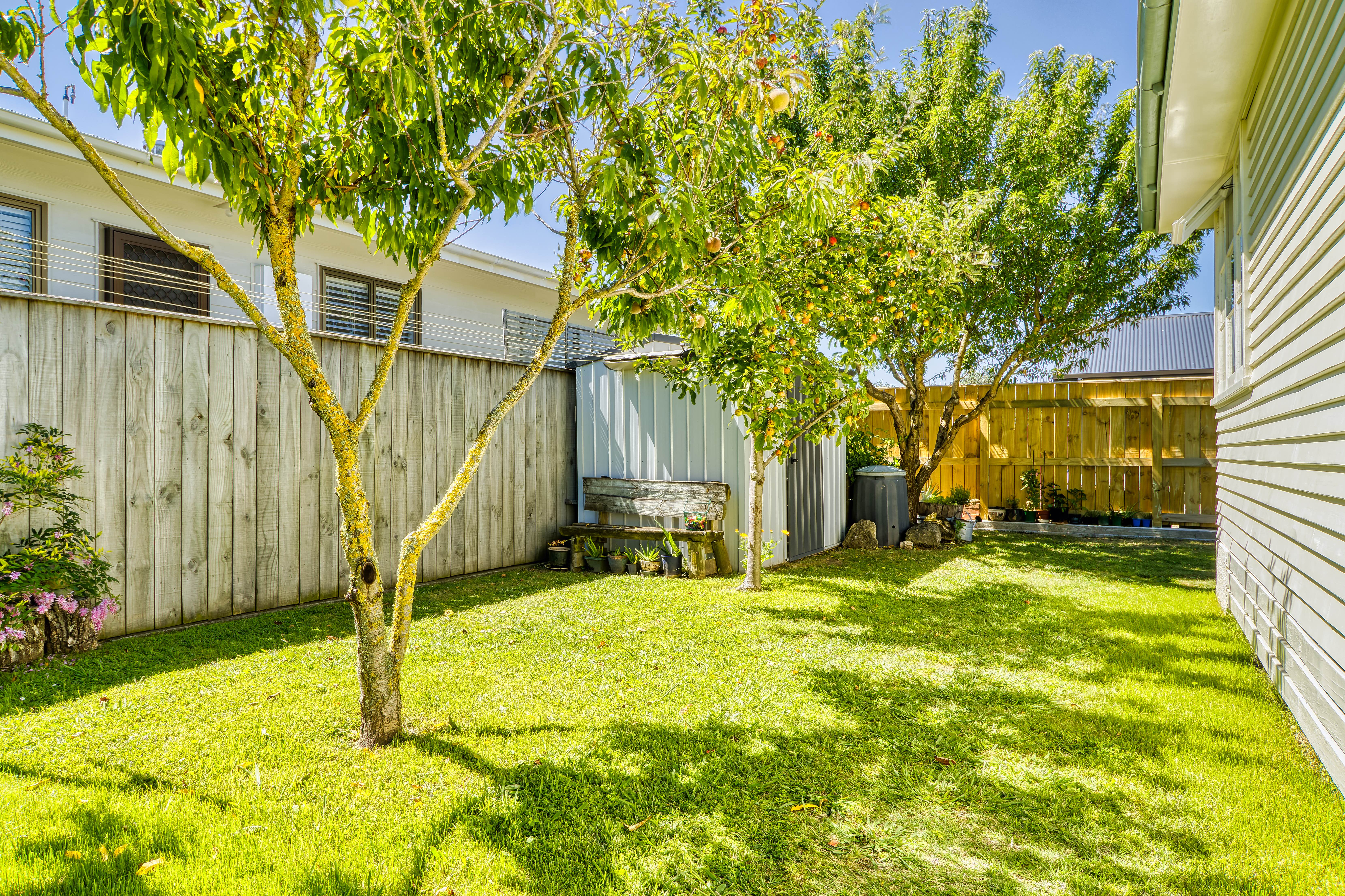 735 Ngaio Street, Mahora, Hastings, 3 rūma, 1 rūma horoi