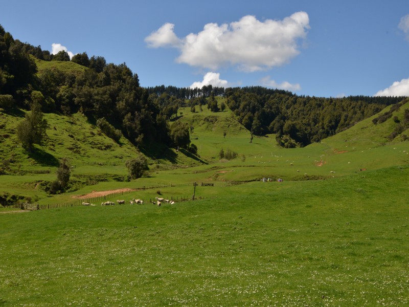 1711 State Highway 4, Aria, Waitomo, 0 ਕਮਰੇ, 0 ਬਾਥਰੂਮ