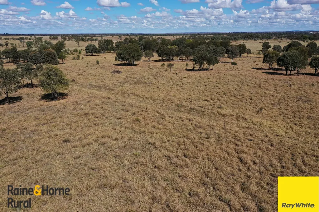 Roma Four Titles - Buy One or the Lot - 12 km to Roma