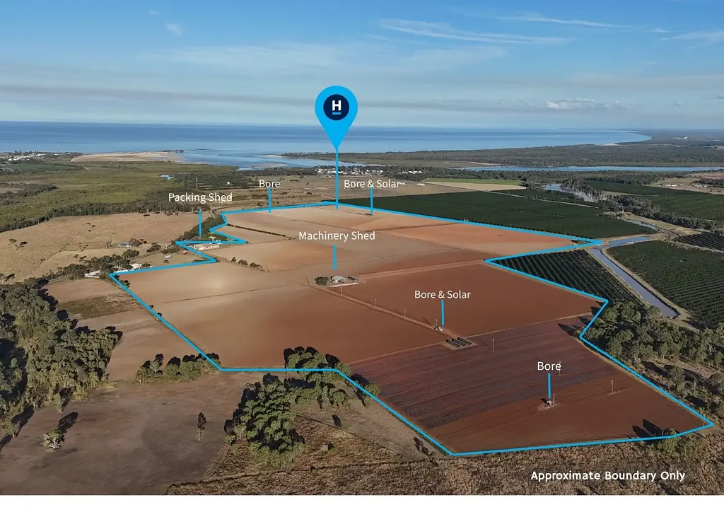 Calavos  Premier Coastal Agribusiness Opportunity