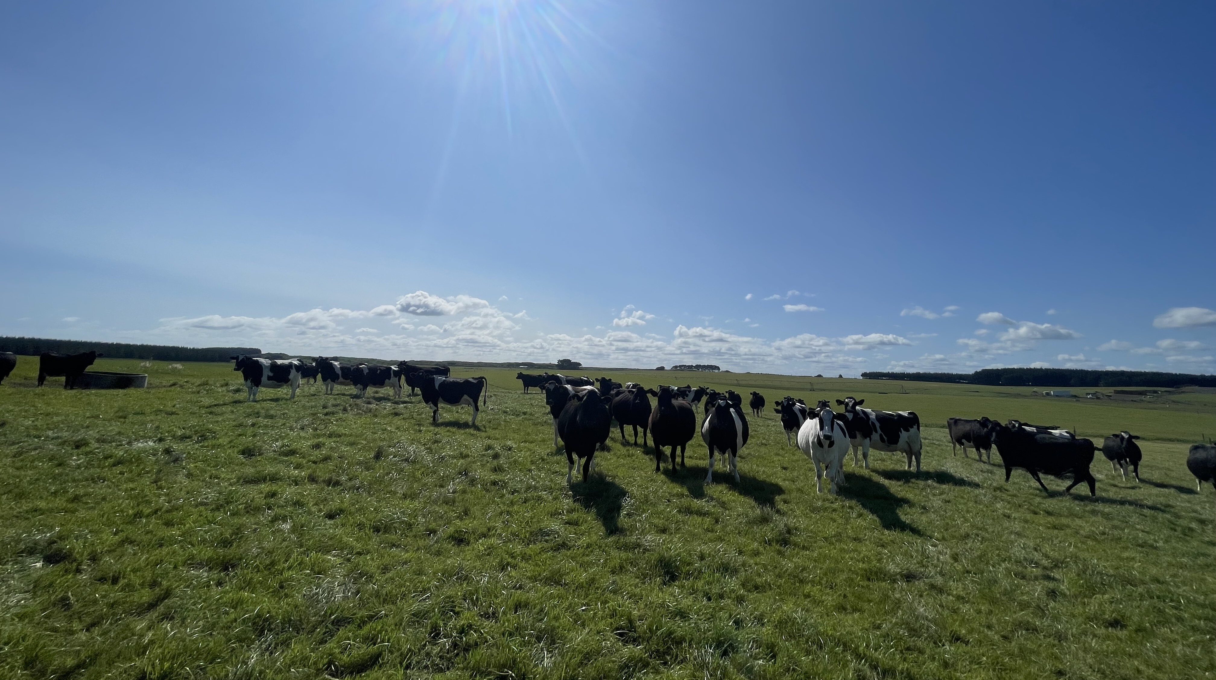 607 Turakina Beach Road, Koitiata, Rangitikei, 0 rūma, 0 rūma horoi, Grazing