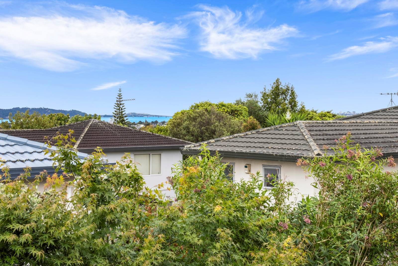 5 Hassan Drive, Massey, Auckland - Waitakere, 3 ਕਮਰੇ, 0 ਬਾਥਰੂਮ, House