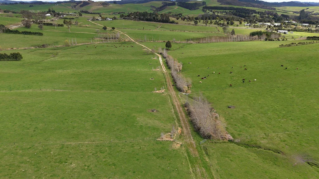 Taupo Bay/Totara North 60ha Beef Finishing Unit