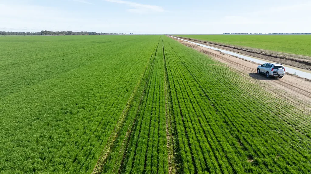 Deniliquin A Spray Irrigation Powerhouse