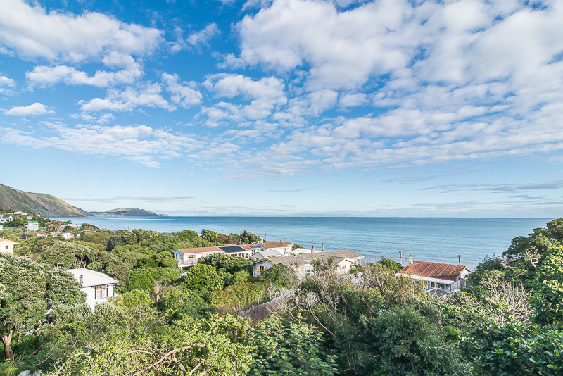 18 Pingau Street, Paekakariki, Kapiti Coast, 3 રૂમ, 0 બાથરૂમ