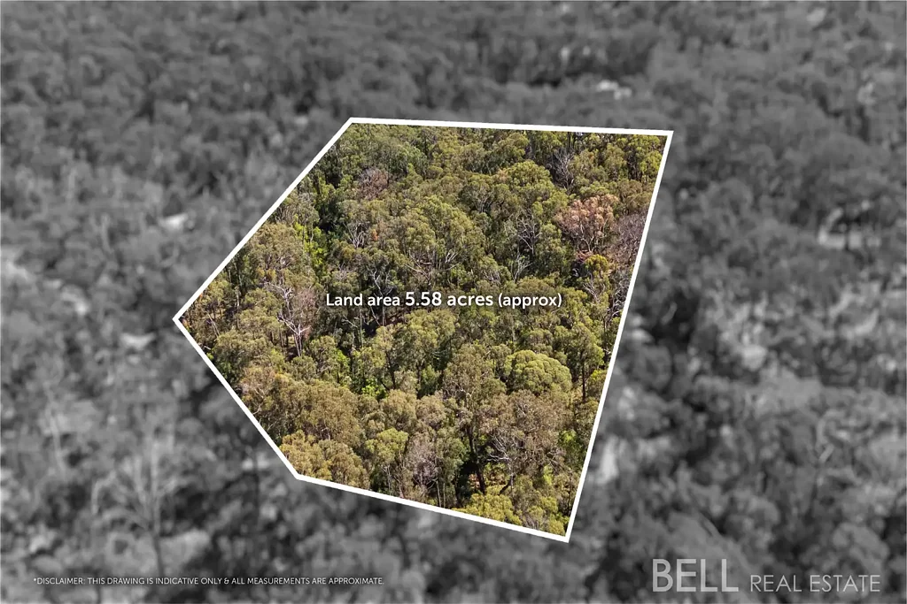 Montrose 5.58 acres原始林地 季节性溪流穿行 本土动植物丰富 步行可达MECS及村庄 便捷通往Dandenongs Serenity, Seclusion and Endless Possibility (STCA) on Over 5 Acres