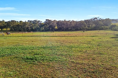 Address Withheld, Rosenthal Heights, QLD 4370, 0 rūma, 0 rūma horoi, Lifestyle Section