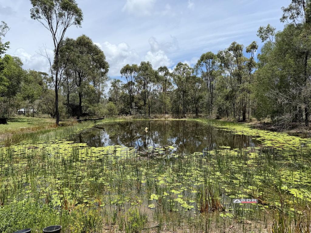 147 PACIFIC HAVEN CCT, PACIFIC HAVEN QLD 4659, 0 Bedrooms, 0 Bathrooms, House