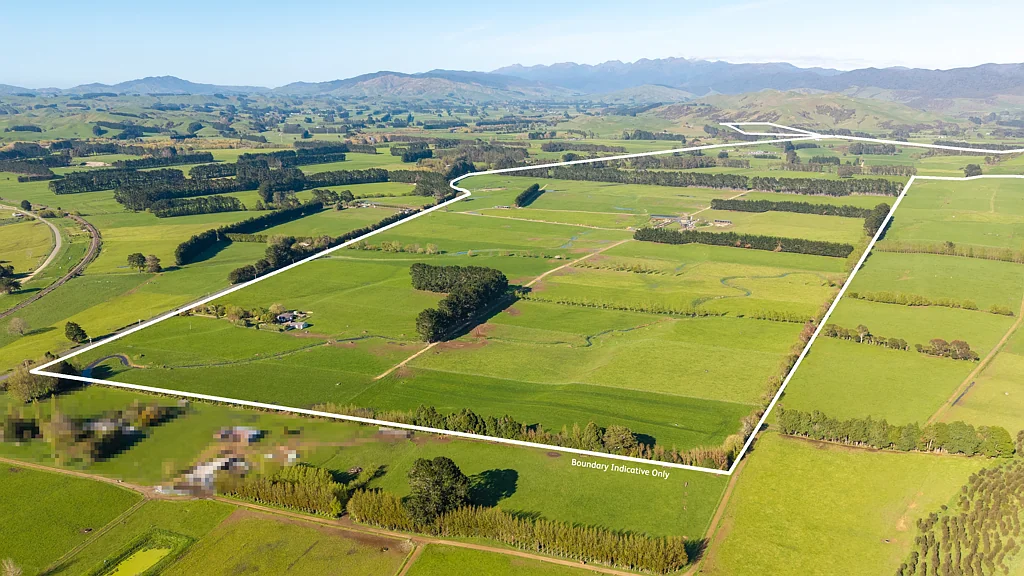 Eketahuna Glenbrook - 269 ha - Multiple purchase options