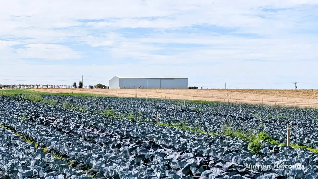 Woodridge  "Woodridge" Prime Location, Irrigation, Mixed Farming!