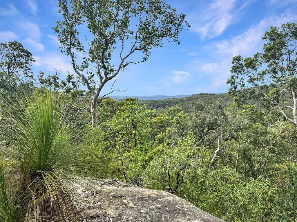 Laguna  Diverse Bushland Sanctuary