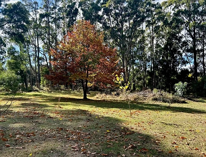 85 Bluemount Road Trentham, Trentham, VIC 3458, 3房, 2浴, 独立屋