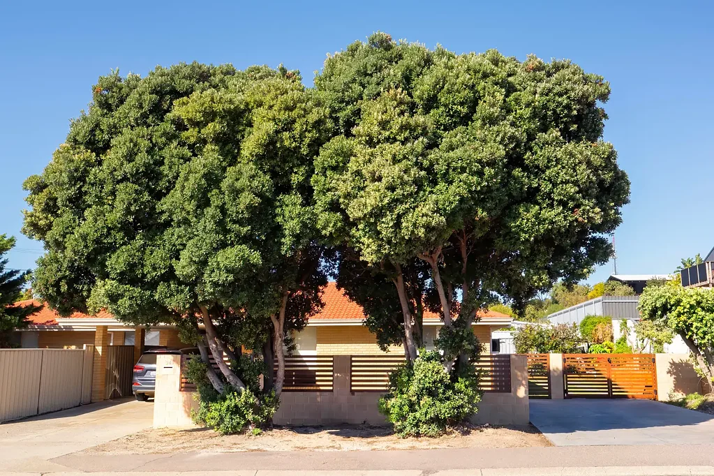 26B Phillips Street, West Beach, WA 6450