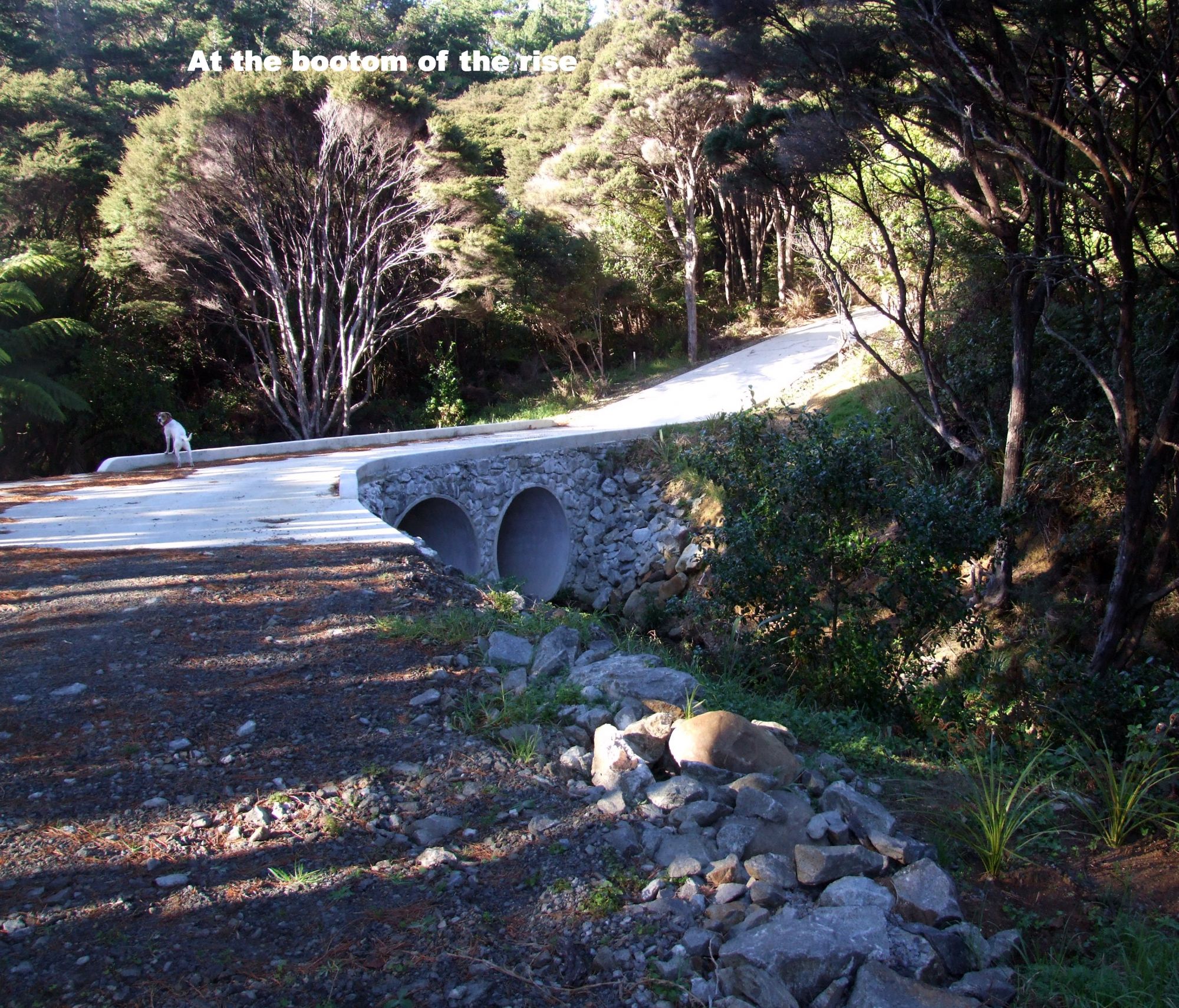 Hauraki Gulf Islands