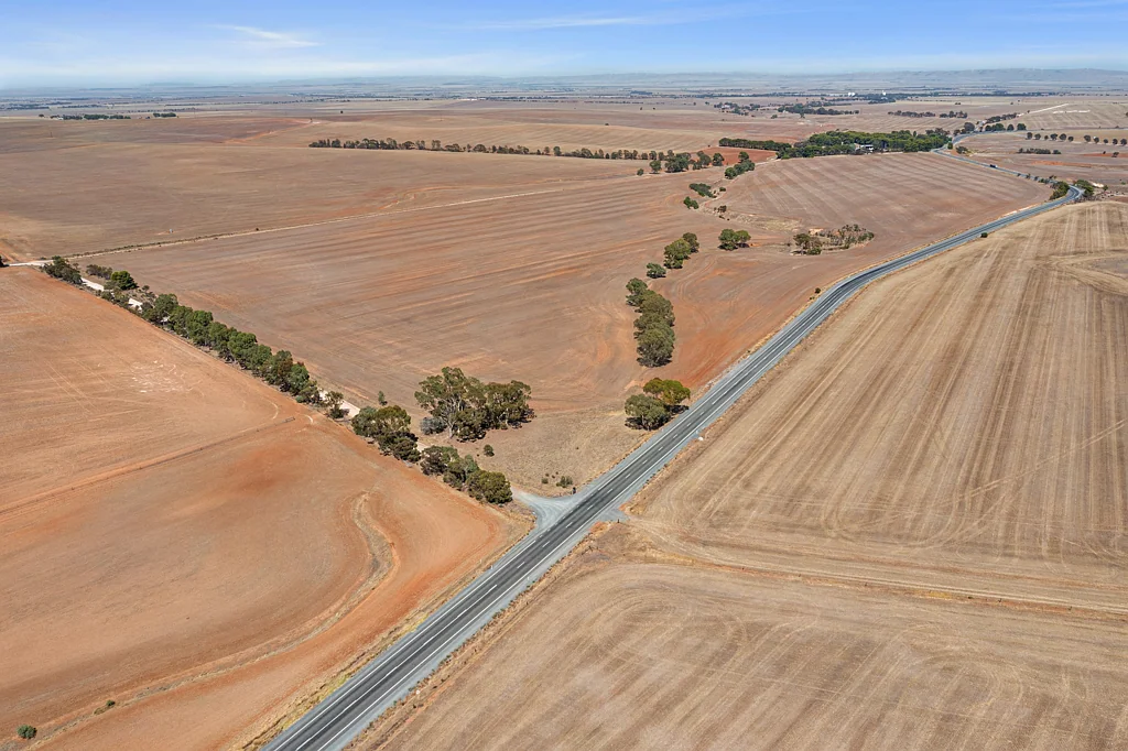 Brinkworth  Broadacre Cropping / Grazing in the Clare Valley
