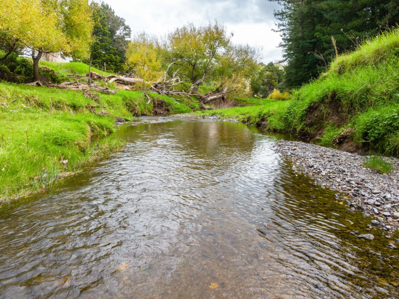 Omana Road, Tangiteroria, Kaipara, 0 ਕਮਰੇ, 1 ਬਾਥਰੂਮ