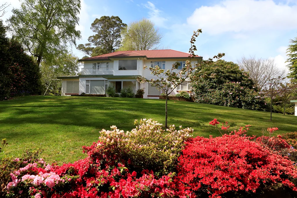 399 Ridgley Highway, Mooreville, TAS 7321