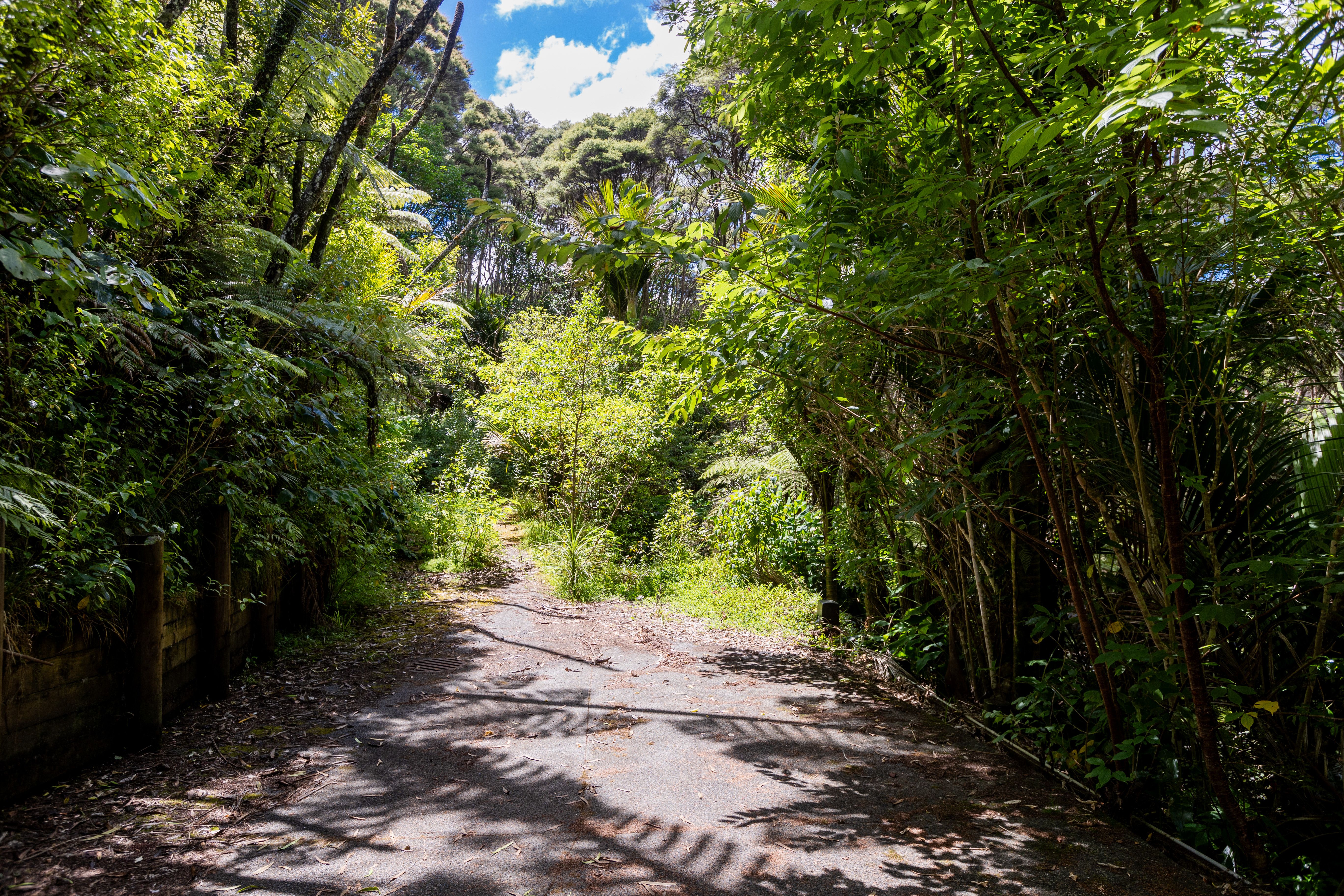 86 Huia Road, Titirangi, Auckland - Waitakere, 0房, 0浴, Section