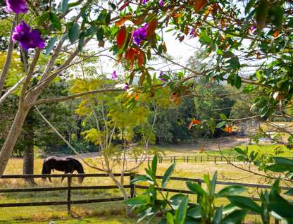 212B Stewart Road, Guanaba, QLD 4210, 2 Bedrooms, 1 Bathrooms, House