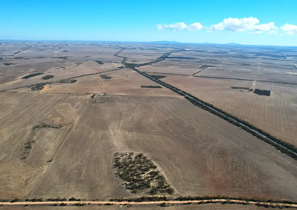 Rudall Opportunity to Grow