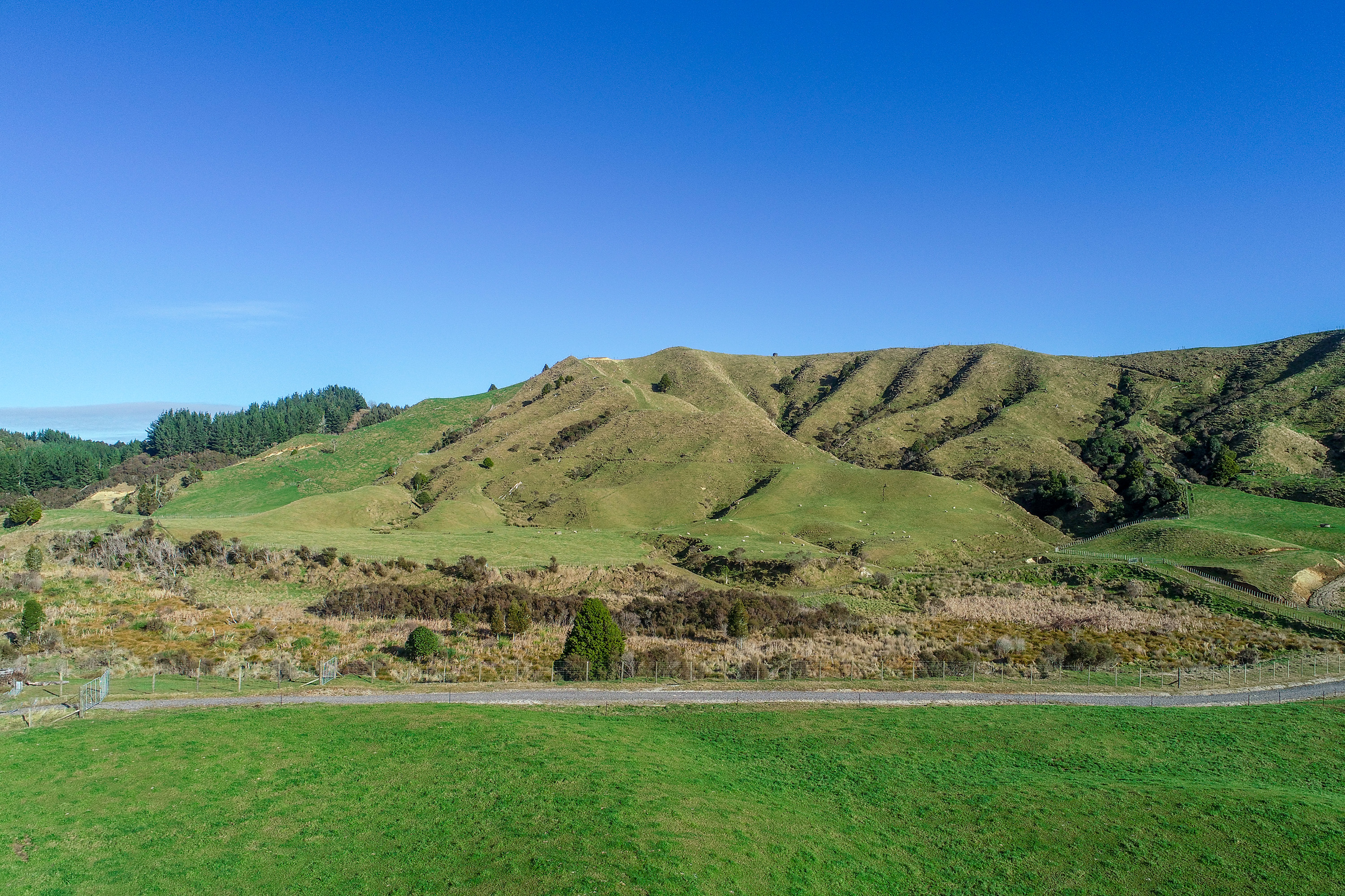 State Highway 4, Owhango, Ruapehu, 0 ਕਮਰੇ, 1 ਬਾਥਰੂਮ, Lifestyle Section