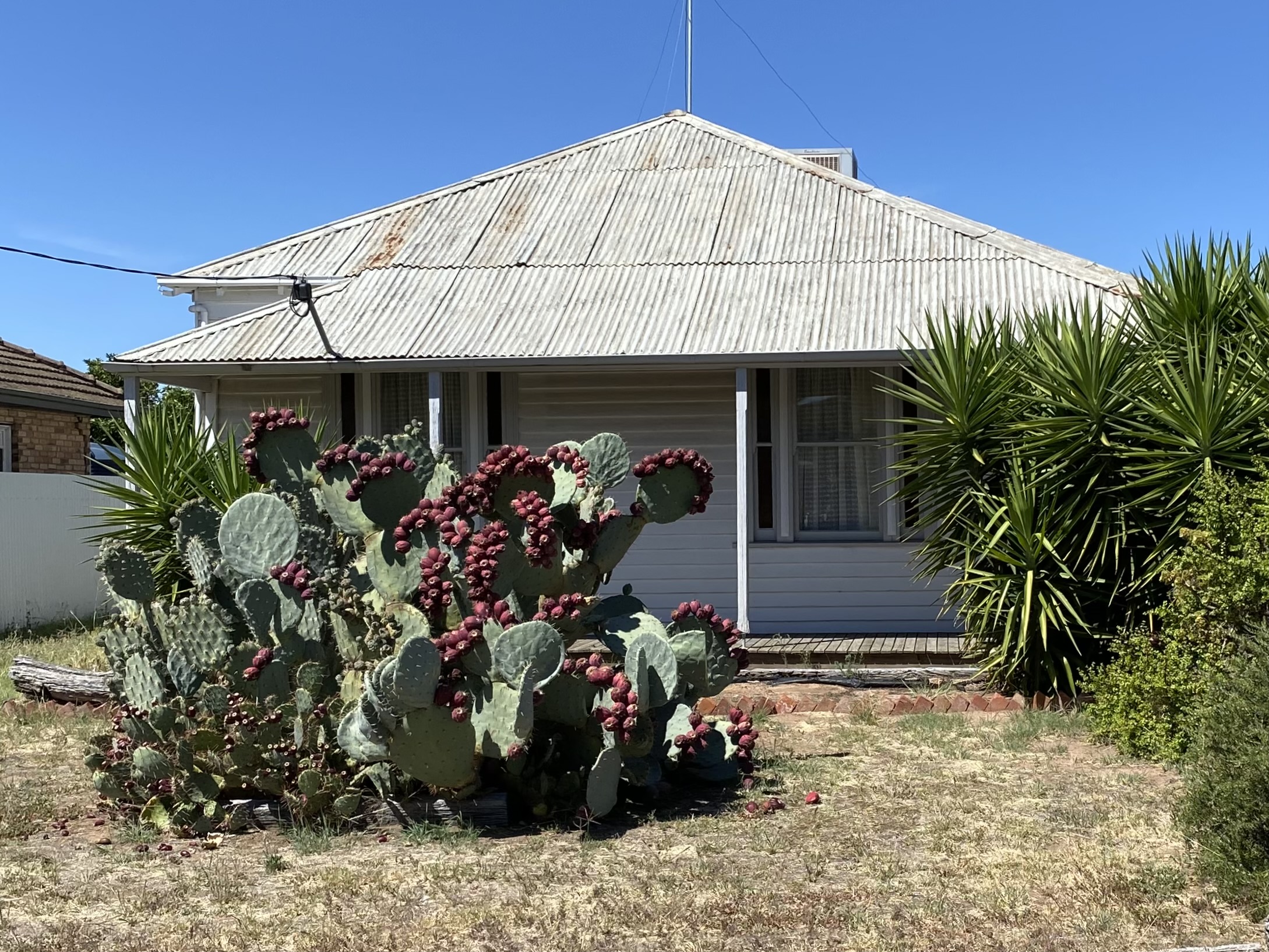 27 DEVEREUX ST, WARRACKNABEAL VIC 3393, 0 ห้องนอน, 0 ห้องน้ำ, House