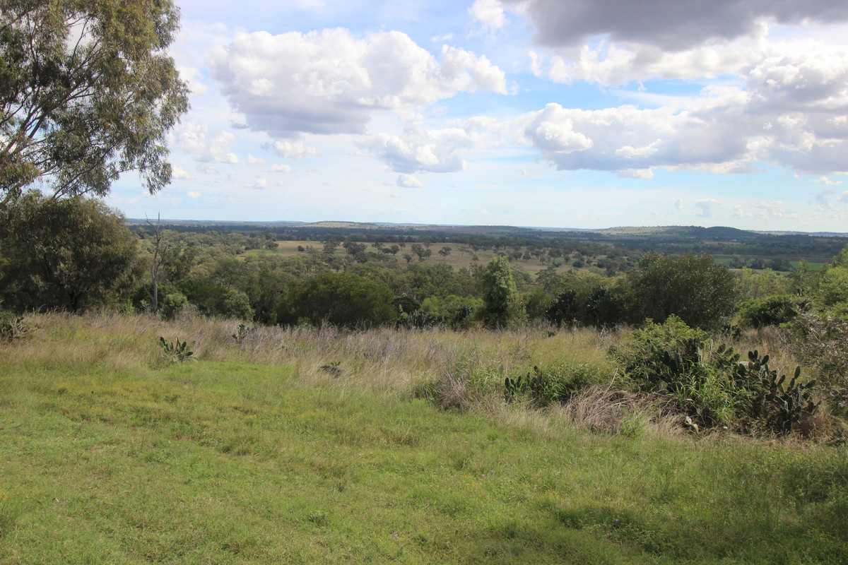 84 PETERS RD, MERINGANDAN WEST QLD 4352, 0 રૂમ, 0 બાથરૂમ, Section