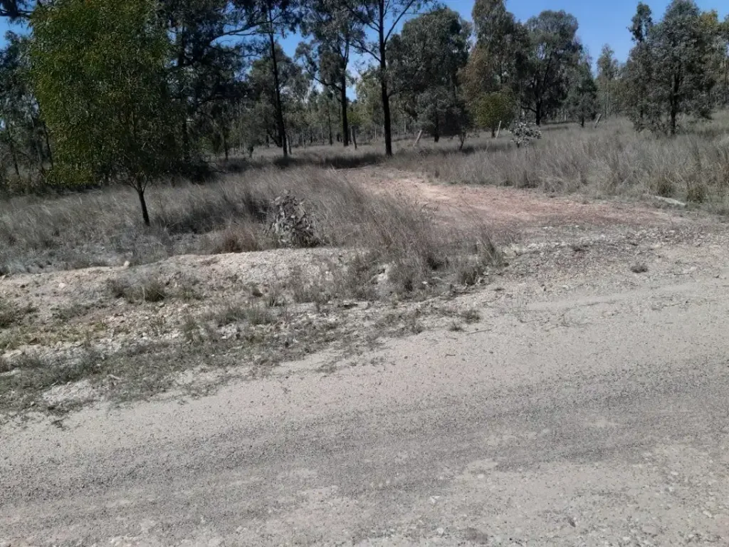 Tara 29.65 acres in Kofoeds