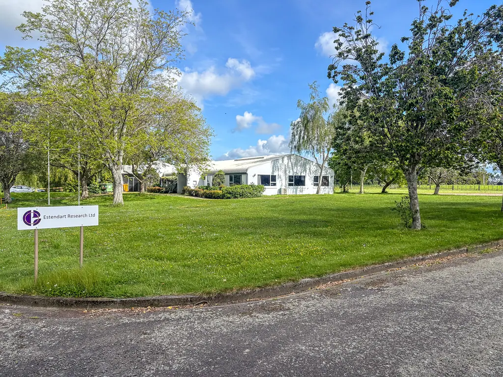 Palmerston North Central Sun-filled office with rural outlook