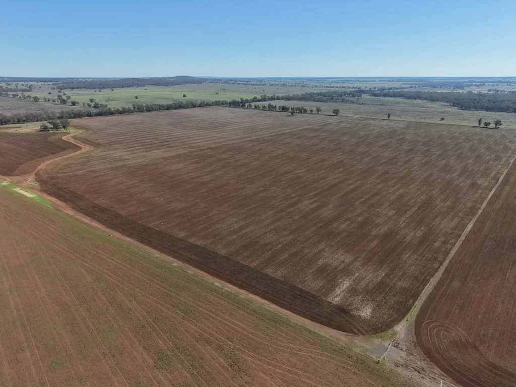 Bogan Gate "Alawa"
Fertile Cropping Country