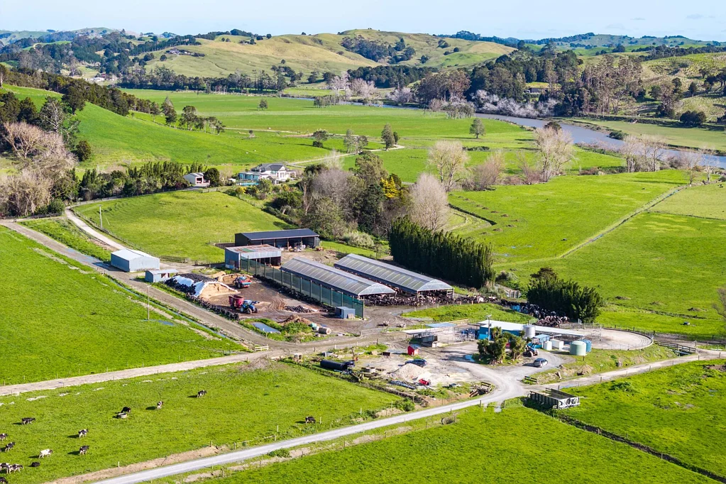 Tangiteroria  Productive dairy unit - property needs to sell