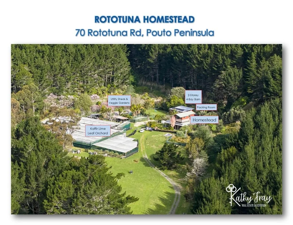 Pouto Rototuna Homestead Lifestyle Haven