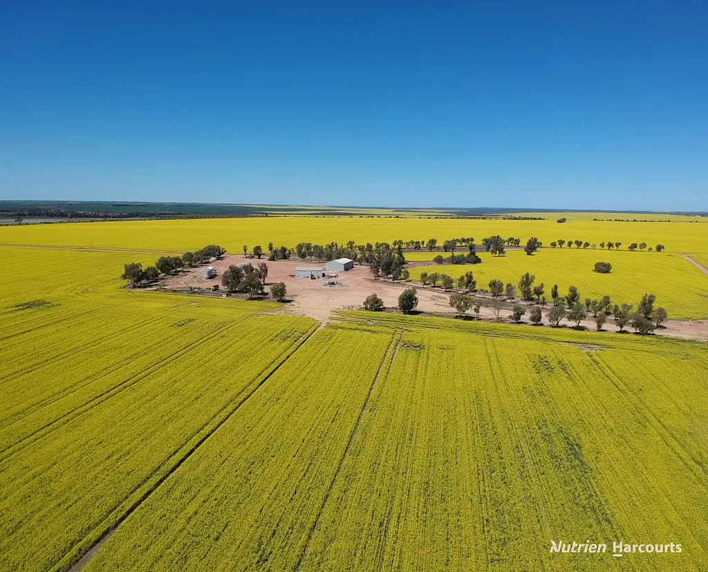 235 Telegraph Road, West Binnu, WA 6532