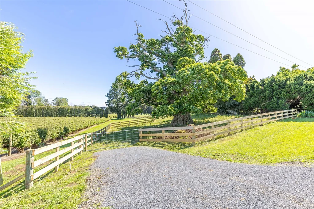 Te Awamutu  Time to build or Relocate