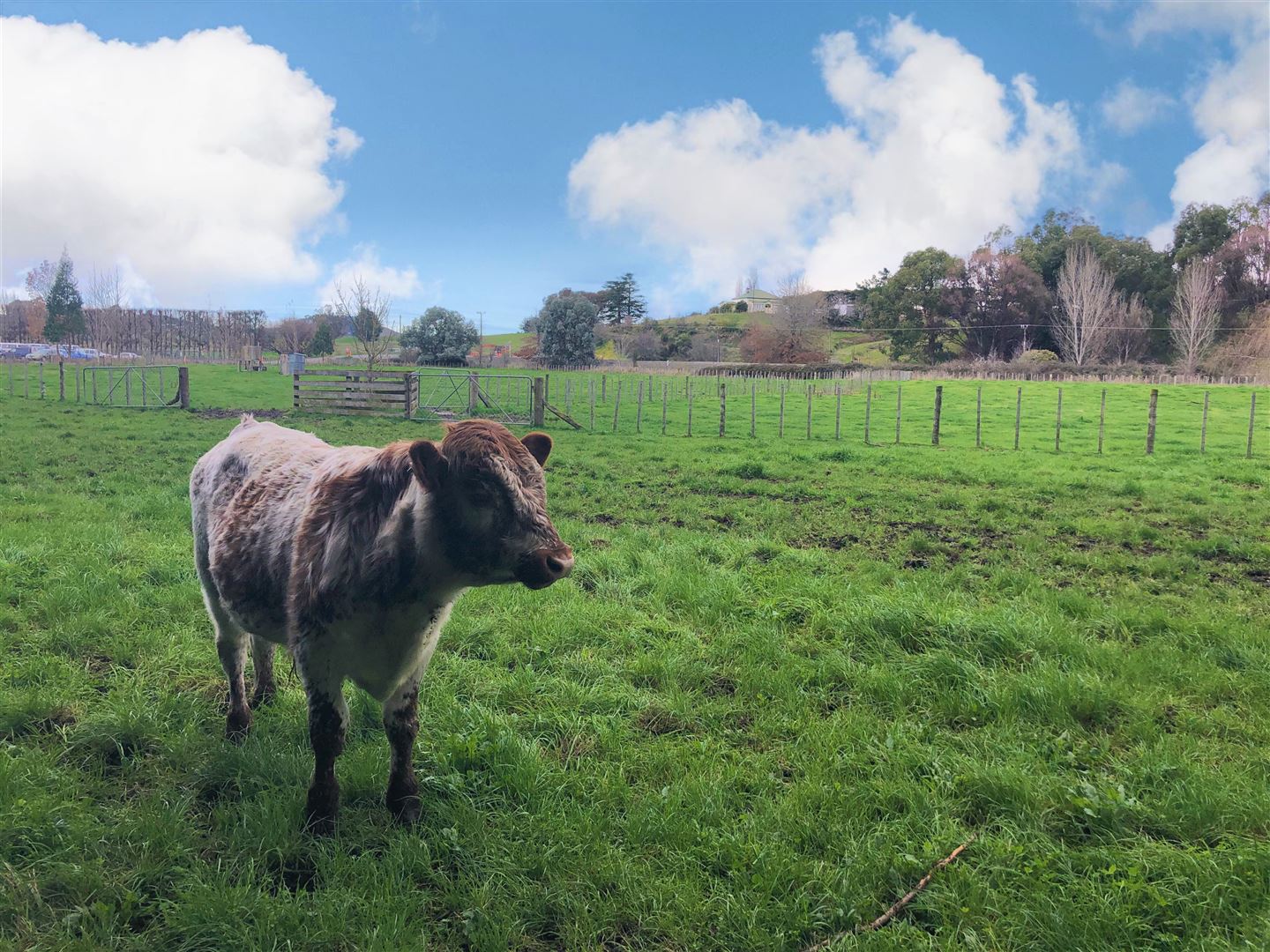 Tapairu Road, Waipawa, Hawkes Bay, 0房, 0浴