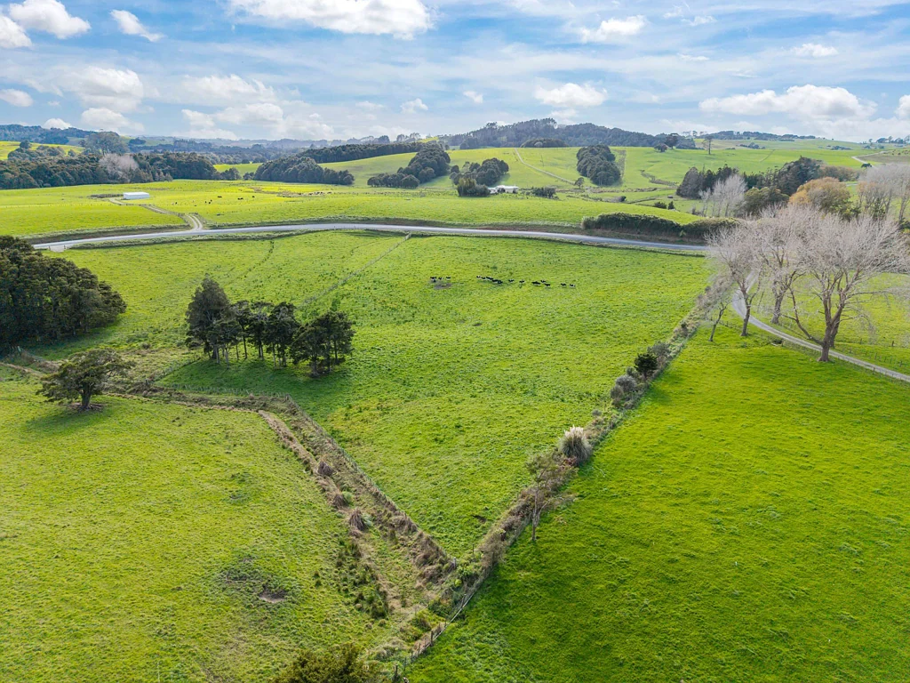 Wellsford Your dream lifestyle starts here