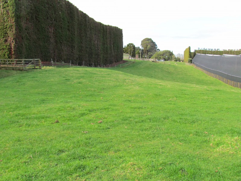 402 Youngson Road, Whakamarama, Bay Of Plenty, 0 chambres, 0 salles de bain