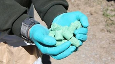 除虫剂1080即将投放对抗3000万老鼠