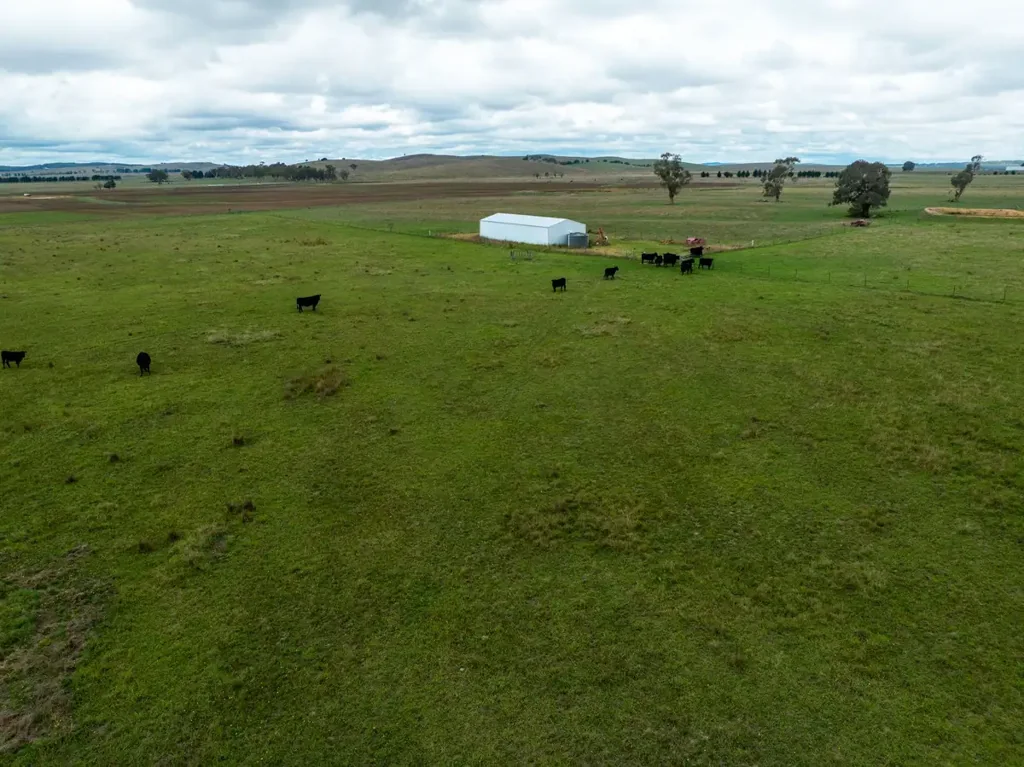 Tarago  Prime Small Acreage