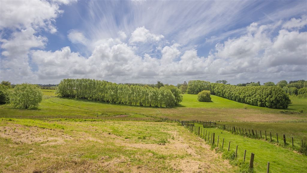 29 Jeffs Road, Dairy Flat, Auckland - Rodney, 5 રૂમ, 2 બાથરૂમ