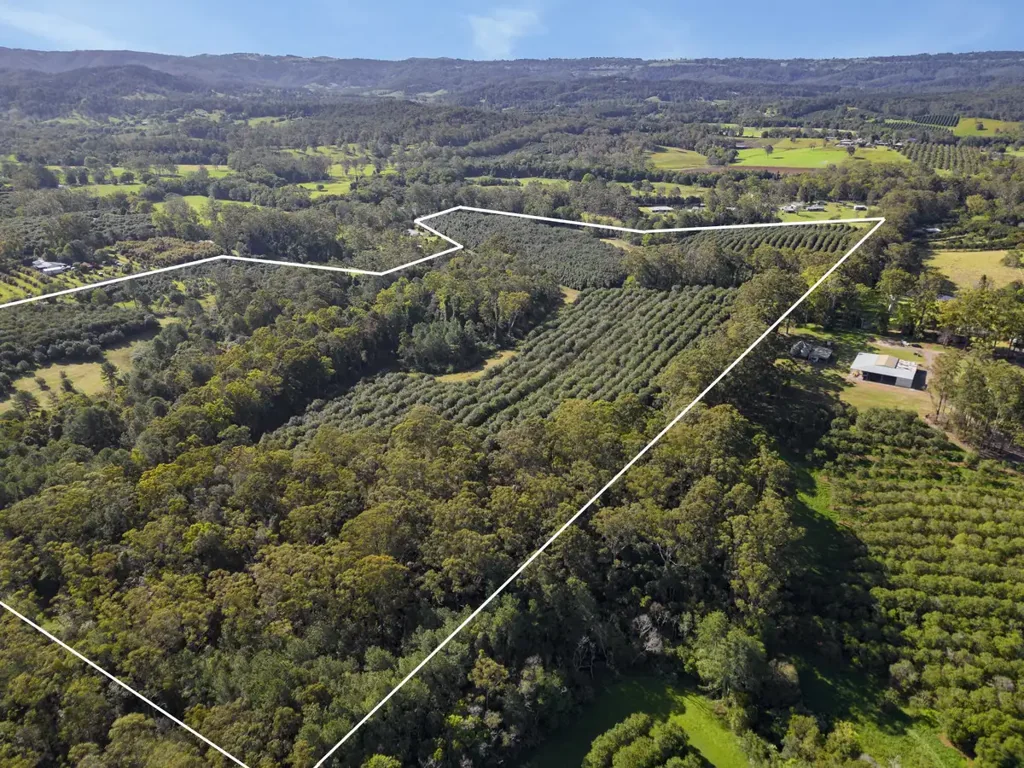 Peachester 92.7 Acres of Rural Paradise with Endless Potential