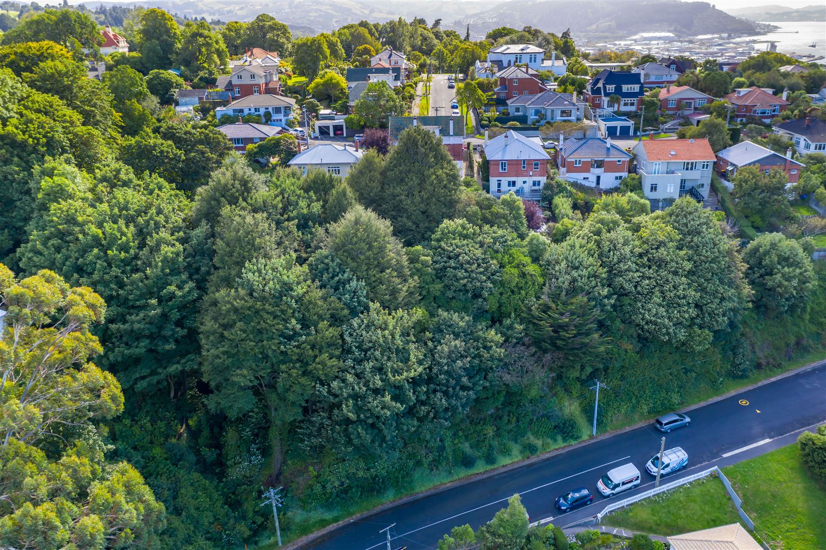 20a Mcgeorge Avenue, Mornington, Dunedin, 1房, 0浴