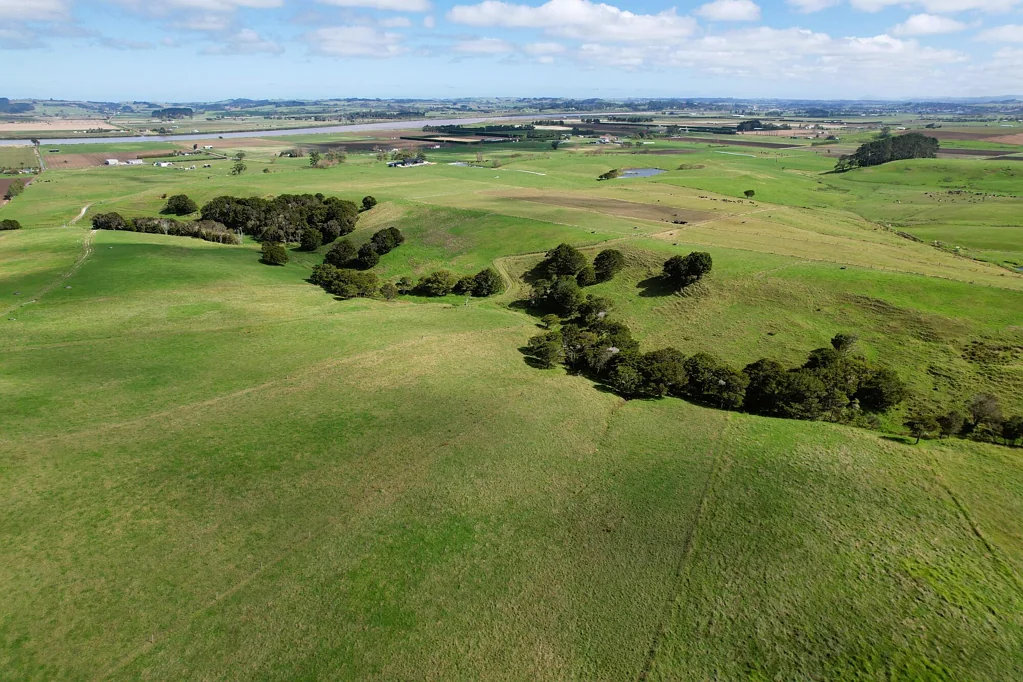 Dargaville  Outstanding Support Block, Hobby Farm