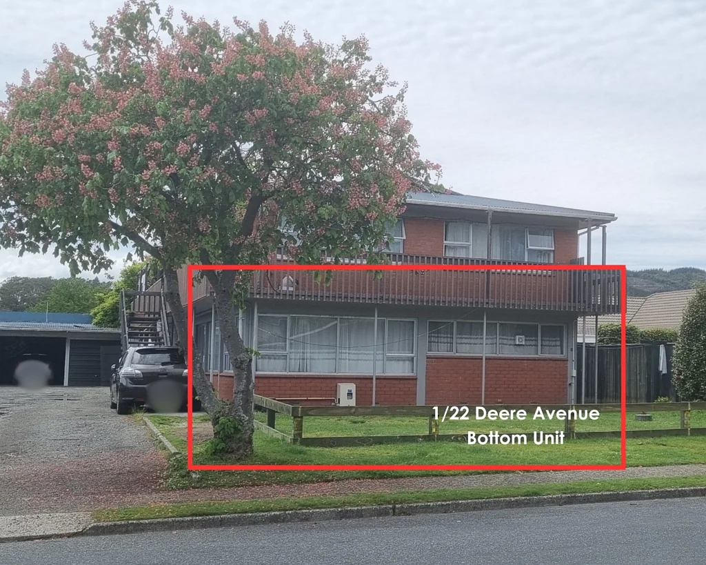 Affordable One Bedroom Gem in Fenton Park