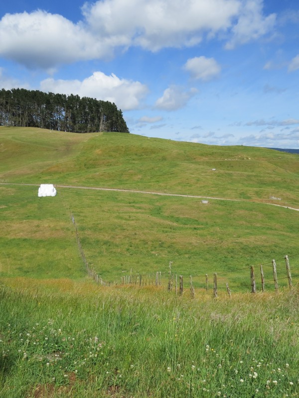 671 Sandel Road, Mangakino, Taupo, 0房, 0浴