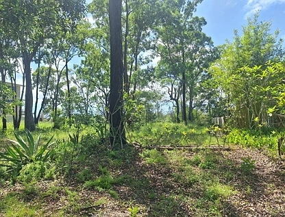 5 Blue Vista St, Macleay Island, Redland City Region, 0 chambres, 0 salles de bain, Section