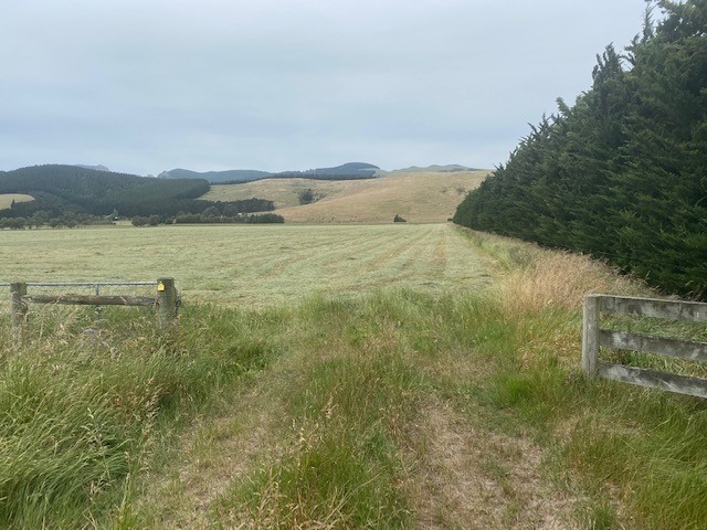 Rural Banks Peninsula