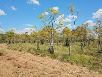 Adres Weerhou, Nanango, QLD 4615, 0 slaapkamers, 0 badkamers, Section