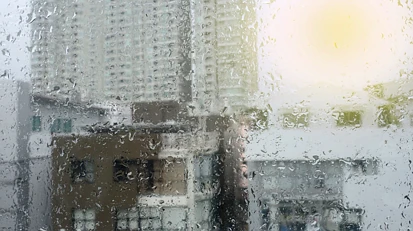 再见，风和日丽的周末！你好，凄风冷雨的一周！