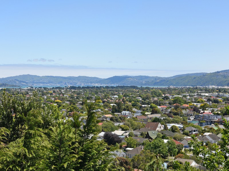 35 Woodvale Grove, Fairfield, Lower Hutt, 3部屋, 0バスルーム